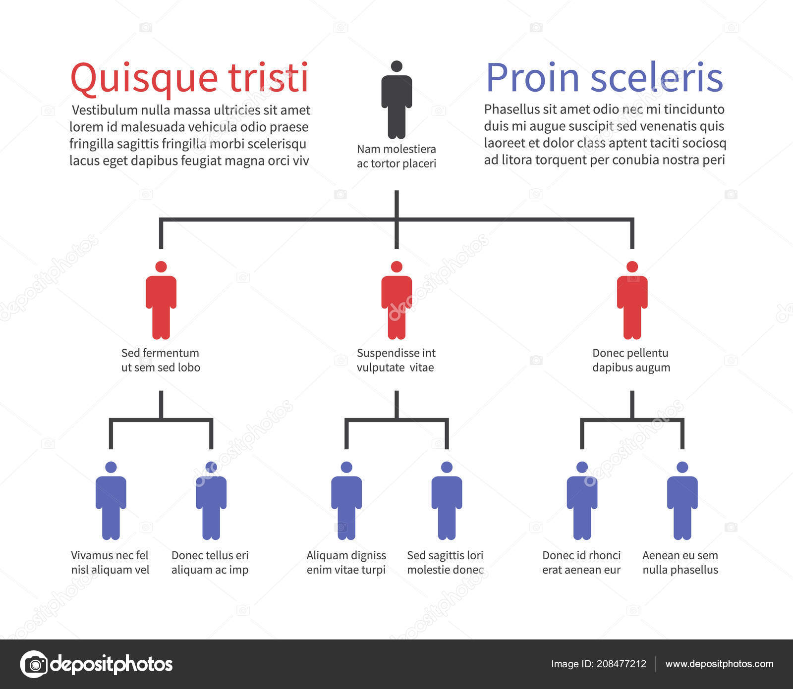 Flow Chart Organizational Structure