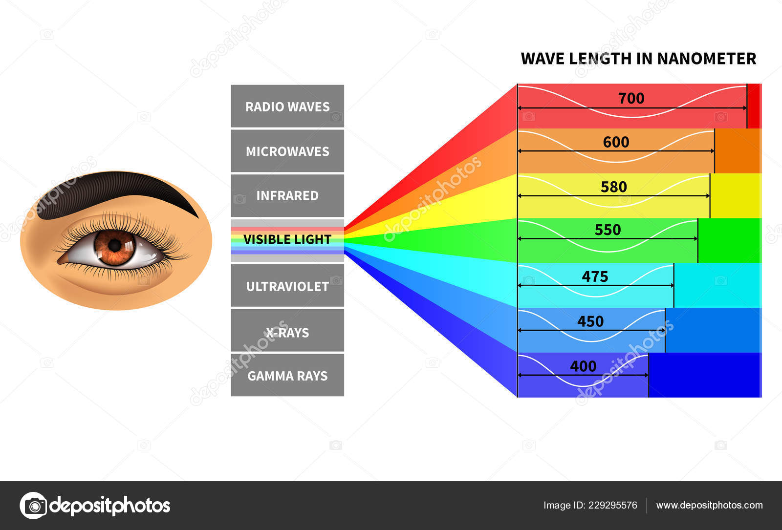 visible light spectrum color