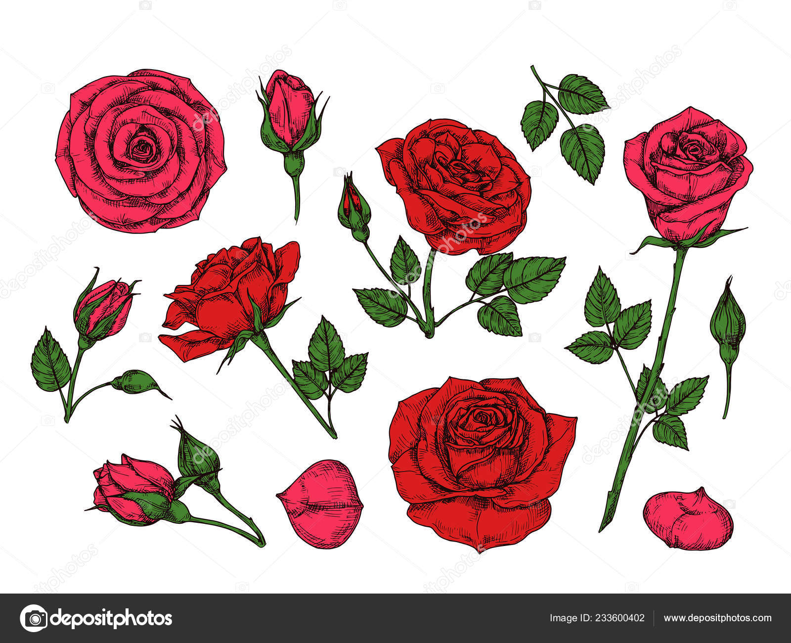 Rose With Thorns Tattooストックベクター ロイヤリティフリーrose With Thorns Tattooイラスト ページ 5 Depositphotos