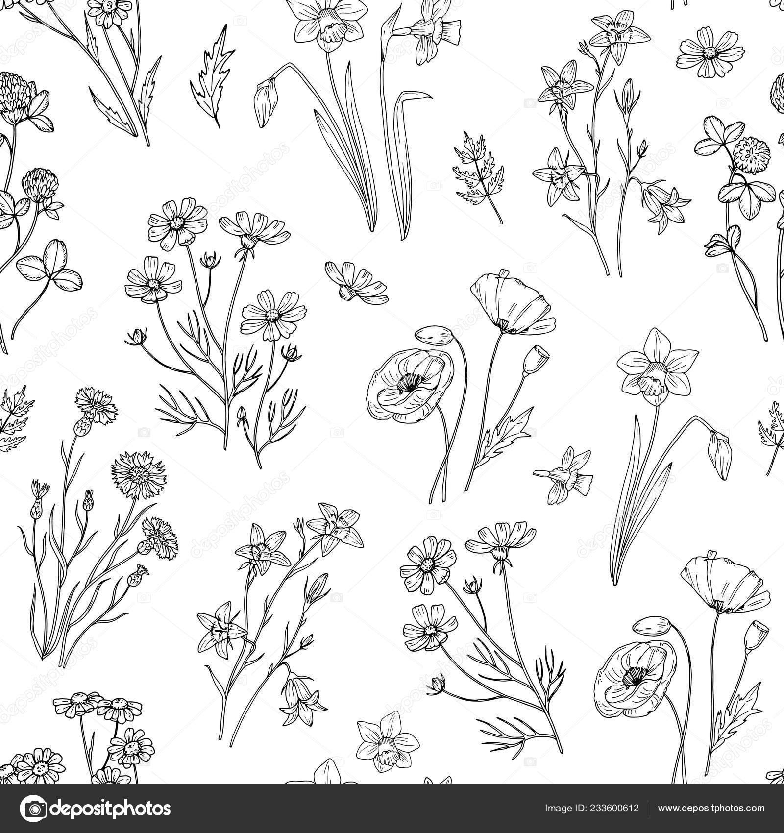 Wild Flower Pattern Floral Seamless Wallpaper With Wildflowers Vintage Fabric Vector Background Stock Vector Image By C Microone Wild Flower Pattern Floral Seamless Wallpaper With Wildflowers Vintage Fabric Vector Background Stock Vector Image By C Microone