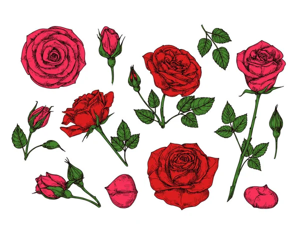 Rose With Thorns Tattooストックベクター ロイヤリティフリーrose With Thorns Tattooイラスト ページ 5 Depositphotos Rose With Thorns Tattooストックベクター ロイヤリティフリーrose With Thorns Tattooイラスト ページ 5 Depositphotos