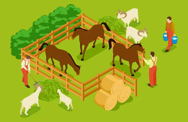 Animal farm, livestock with horses, goats, sheeps and workers isometric vector illustration