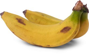 iki olgun muz sarı kabuklu ve kahverengi benekli yeşil kök izole edilmiş beyaz arka plan, sağlıklı meyve ve doğal yaşlanma süreci, sağlıklı beslenme