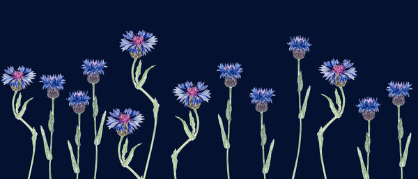 Цветущие цветущие сорняки в ярко-синих и фиолетовых оттенках. Бесшовная граница акварелью изолированы на темно-синем фоне, идеально подходит для ботанических моделей, приглашения, упаковки, и деревенский летом