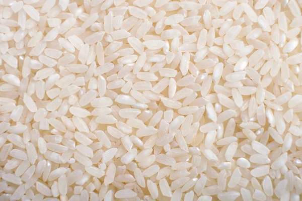 Rice seamless pattern food background close up