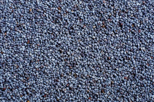 Semente Papoila Padrão Comida Fundo Close — Fotografia de Stock