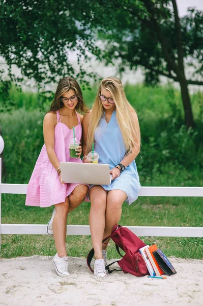 Twee Meisjes Drinken Van Sap Die Laptop Werkt — Stockfoto