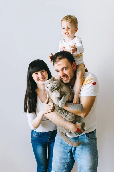 若い家族は息子と遊んで後白い背景の上の猫と塗料します — ストック写真