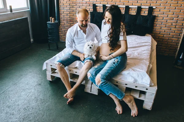 カップルの妊娠女性リラックスにソファを一緒に犬 — ストック写真
