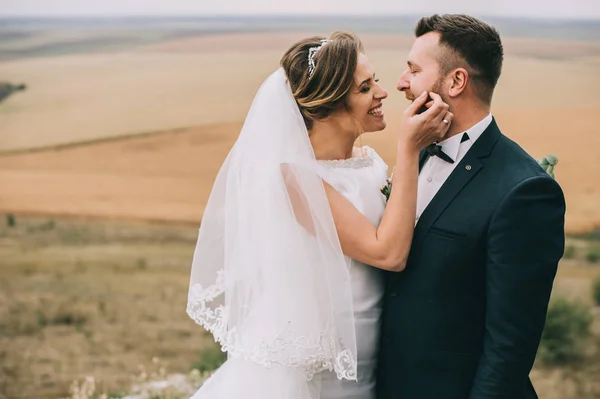 Hermosa Feliz Joven Boda Pareja Besos —  Fotos de Stock