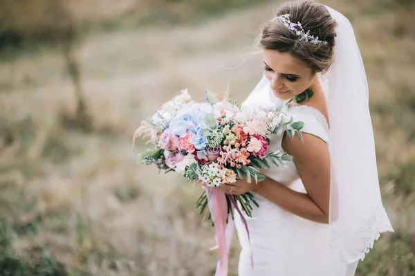 Hermosa Novia Aire Libre Fondo —  Fotos de Stock