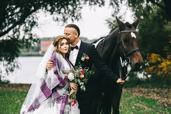 Joven Pareja Boda Con Caballo Negro Parque —  Fotos de Stock