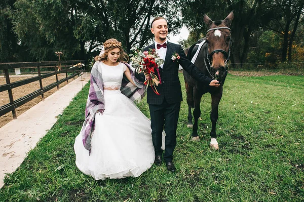 young wedding couple with a black horse in the park