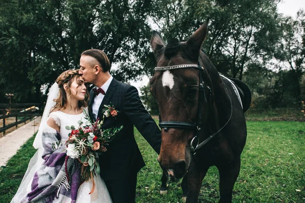 Jeune Couple Mariage Avec Cheval Noir Dans Parc — Photo