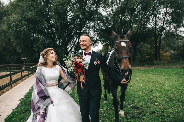 young wedding couple with a black horse in the park