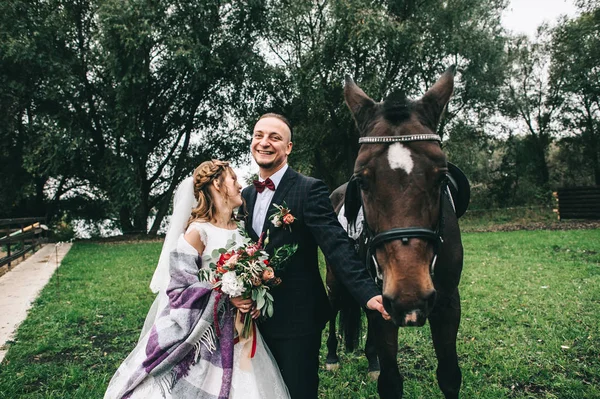 Jeune Couple Mariage Avec Cheval Noir Dans Parc — Photo