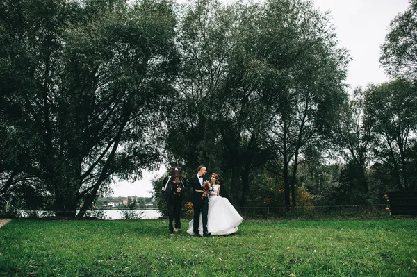 young wedding couple with a black horse in the park