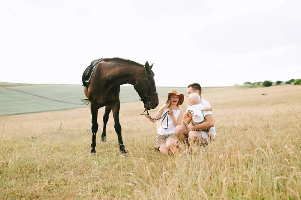 若い家族は フィールドで楽しい時を過します 野の馬の親子 — ストック写真