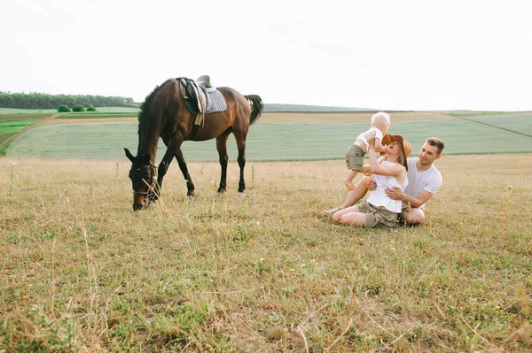 若い家族は フィールドで楽しい時を過します 野の馬の親子 — ストック写真