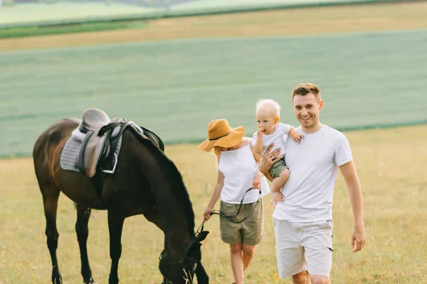 若い家族は フィールドで楽しい時を過します 野の馬の親子 — ストック写真