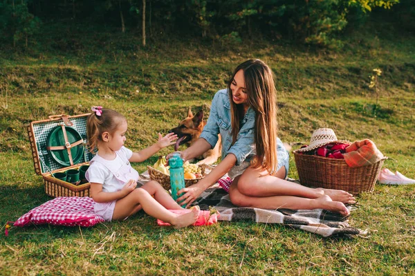 若い母親と娘のジャーマン シェパード犬のピクニックで — ストック写真
