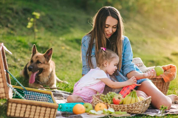 Jonge Moeder Haar Dochter Een Picknick Met Een Duitse Herder — Stockfoto