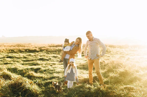愉快的年轻的家庭玩在绿色领域在日落 — 图库照片