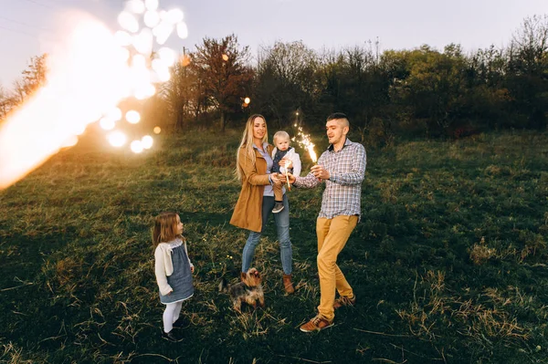 Happy Family Bengal Lights Green Field Sunset — Stock Photo, Image