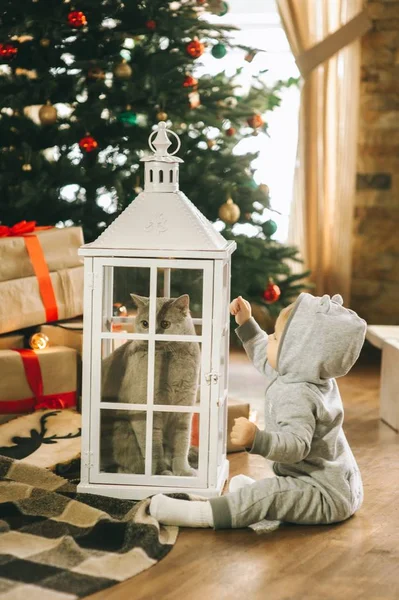 Kerstmis Kleine Jongen Kat — Stockfoto