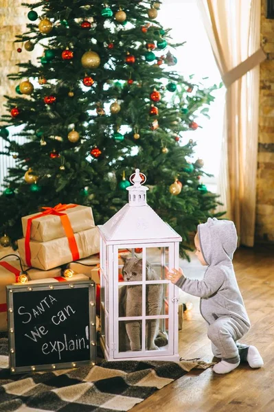 Navidad Niño Gato — Foto de Stock