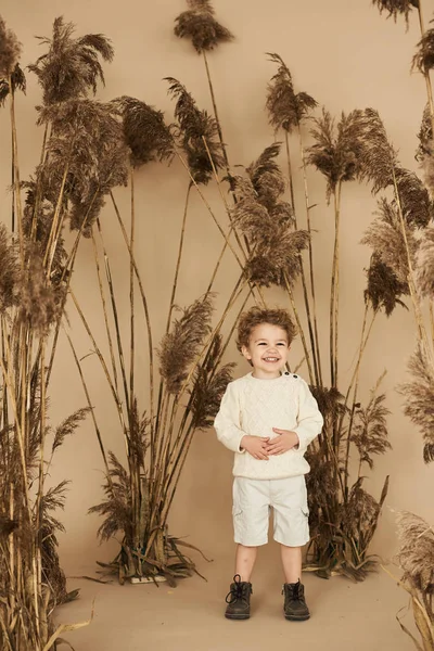 Retrato de um belo menino sorridente em uma cana em um backgro bege — Fotografia de Stock