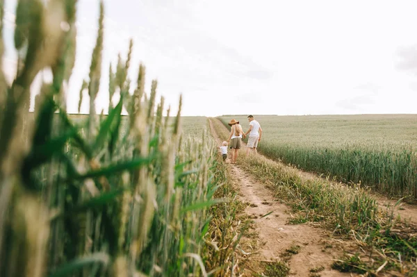 Una giovane famiglia si diverte con il loro bambino sul campo — Foto Stock