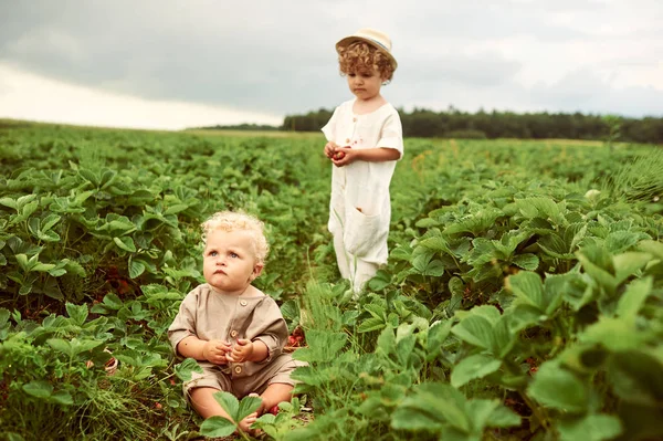 Due simpatici ragazzi caucasici vestiti in lino bianco raccolta panno — Foto Stock