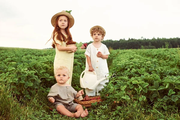 Três jovens caucasianos vestidos com palha de colheita de linho — Fotografia de Stock