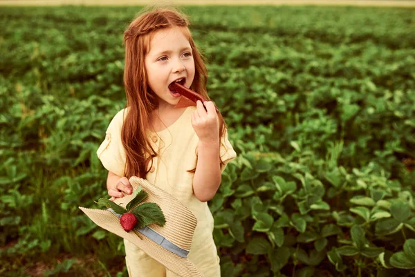 Una pequeña hermosa chica caucásica en el campo verde cosecha un —  Fotos de Stock