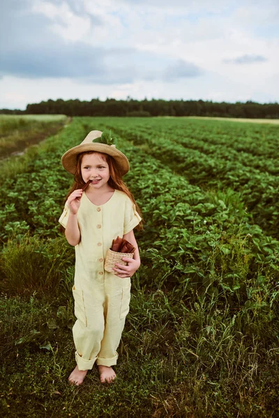 Ein kleines hübsches kaukasisches Mädchen auf dem grünen Feld erntet eine — Stockfoto