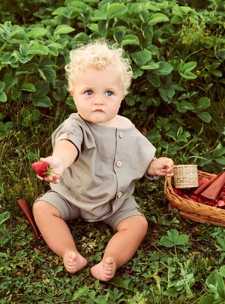 Een schattig mooie Kaukasische krullend kind met een mand van strawberri — Stockfoto