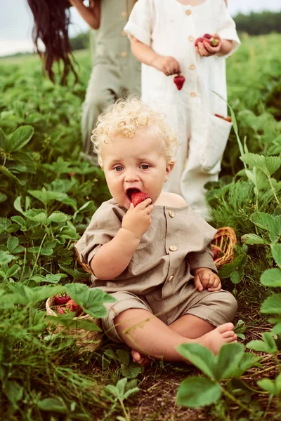 Милый красивый кавказский кудрявый ребенок с корзиной клубники — стоковое фото