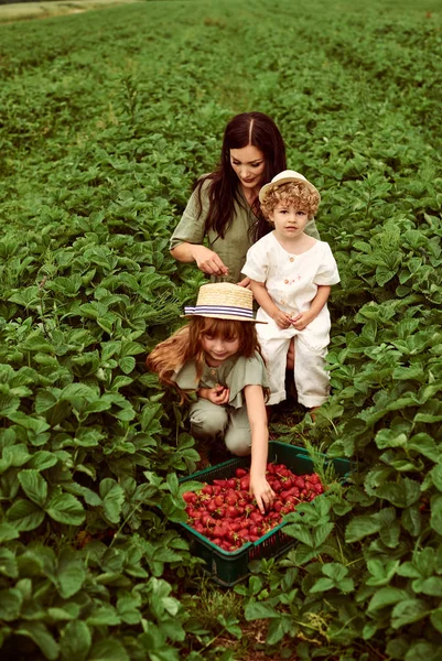 Mooie jonge Kaukasische moeder met haar kinderen in een linnen Dr — Stockfoto