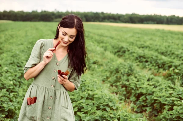 Een jonge mooie vrouw in een veld oogsten aardbeien met — Stockfoto