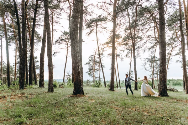 Um jovem casal de noivas andando na floresta de pinheiros — Fotografia de Stock