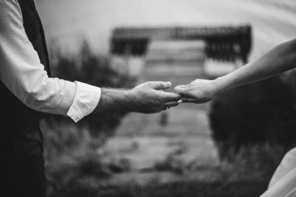 Casal de casamento retro elegante, noiva, noivo andando em um campo ne — Fotografia de Stock