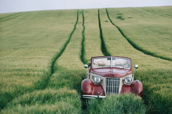 Stijlvolle retro auto in een groen veld — Stockfoto