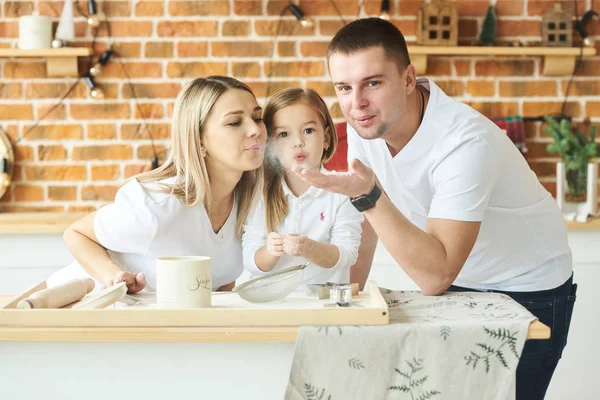 クリスマスdで楽しさと料理を持つ若い美しい家族 — ストック写真