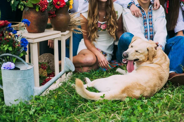 Zugeschnittenes Porträt eines Hundes neben Menschen, die in einer ländlichen Umgebung fotografiert werden. — Stockfoto