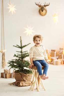 Yakışıklı kıvırcık çocuk Noel ağacını beyaz bir odada süsledi.