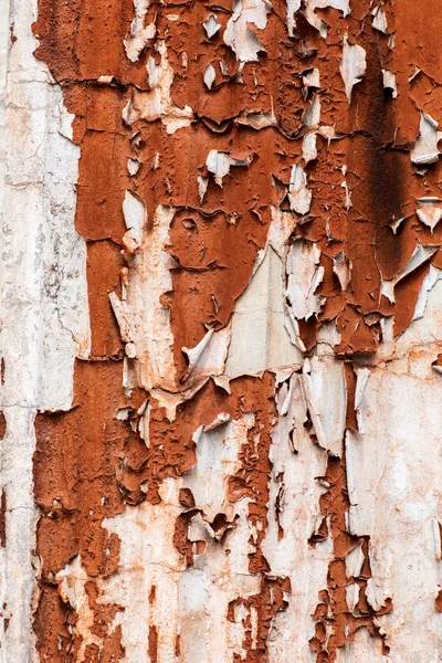 Old painted surface with rustic oil paints — Stock Photo, Image