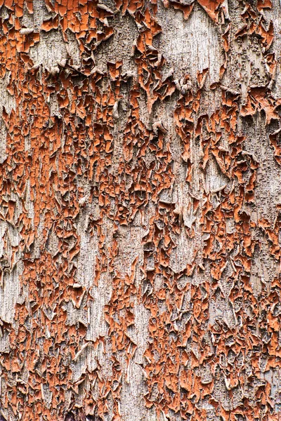 Vieille surface peinte avec des peintures à l'huile rustique — Photo