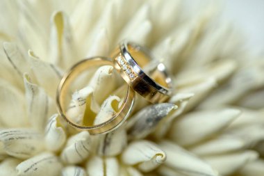 Çiçekteki alyanslar