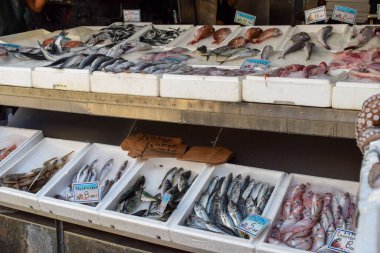 Yunan balık dükkanında taze çiğ deniz ürünleri satılıyor. Buz kutularında sergilenen çeşitli taze balık ürünleri. Satıcı Yunanistan 'da ahtapot, mürekkep balığı ve daha pek çok balık türü satıyor.